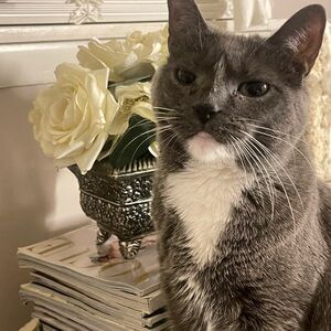 Meet your Posher, Sharon's